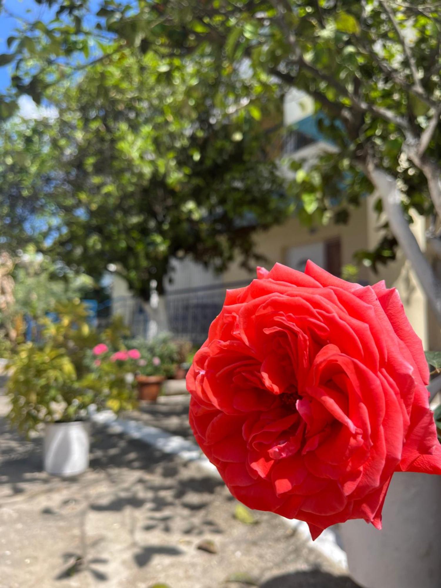 Hotel Portokali Himare Exterior photo